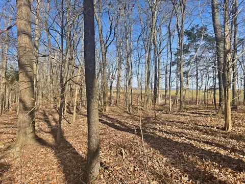 0 Buckeye Rd, Cumberland City, TN 37050