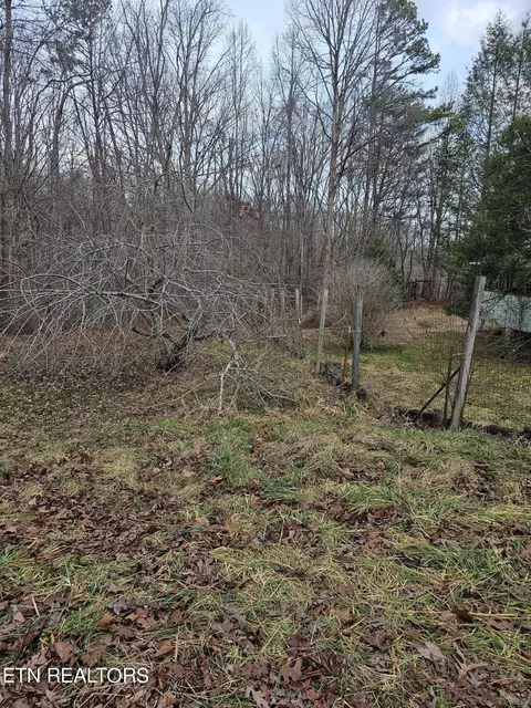 1 Obis Bowling Rd, Robbins, TN 37852