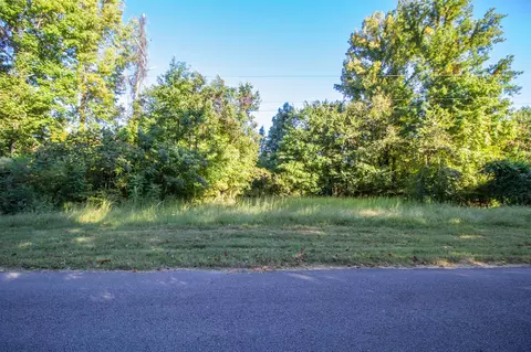 0 Dr Lewis Rd, Ripley, TN 38063