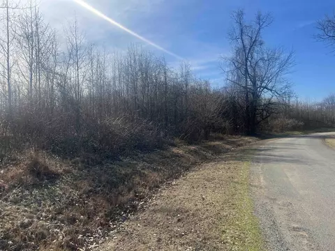 0 Needmore Rd, Halls, TN 38040