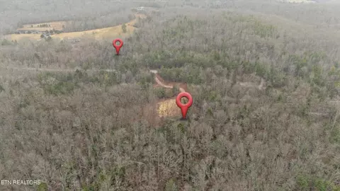 Other - 952 Genesis Rd, Lancing, TN 37770 photo 2 of 13