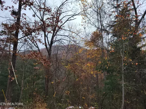 21 Hickory Tree St, Sevierville, TN 37876