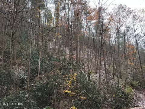 3536 Alpine Dr, Sevierville, TN 37876