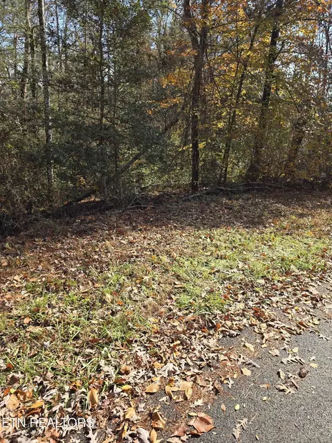 0 Montevallo Rd, Sevierville, TN 37876