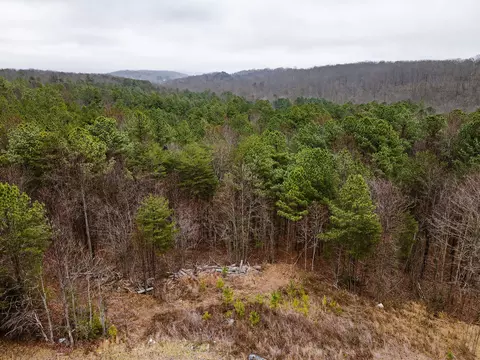 0 Captain Carter Rd, Spencer, TN 38585