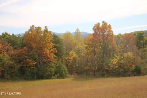 29 Ballplay Rd, Tellico Plains, TN 37385