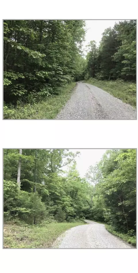 0 Wilson Ridge Ln, Fairview, TN 37062