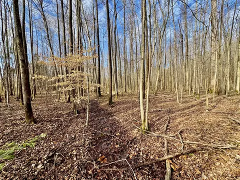 2596 Old Weatherford Creek Rd, Lutts, TN 38471