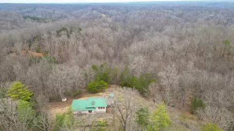 Other - 555 White Pine Dr, Centerville, TN 37033 photo 5 of 6