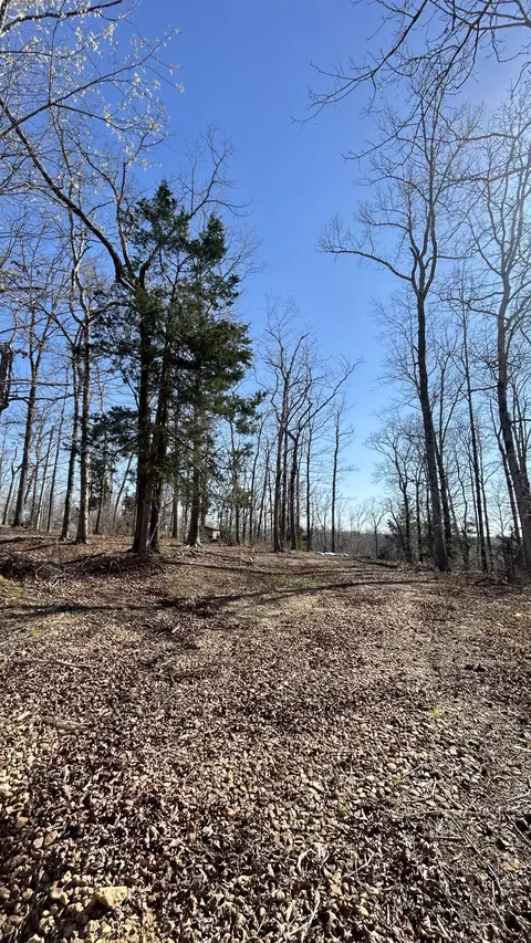 97 Cardinal Hollow Rd, Linden, TN 37096