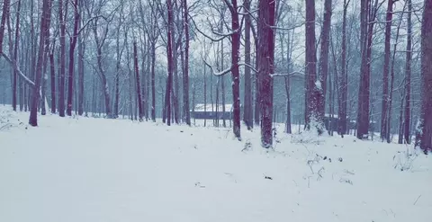 Other - 1300 Ridge Rd, Dickson, TN 37055 photo 14 of 15