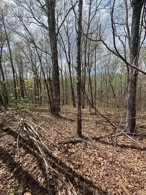 345 Drew Ct, Smithville, TN 37166