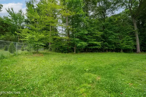 534 Shellbark Rd, Newport, TN 37821 photo 24