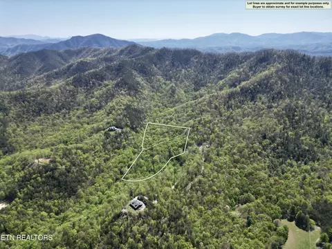 12 Critter Valley Way, Newport, TN 37821