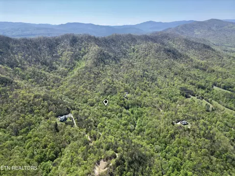 49 Critter Valley Way, Newport, TN 37821