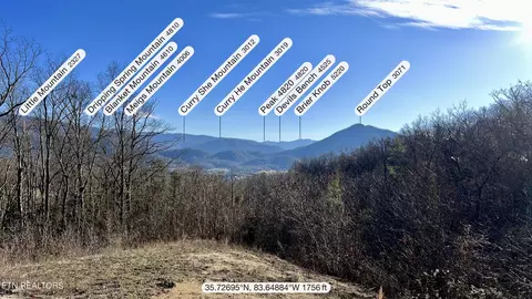 2959 Mockingbird Way, Sevierville, TN 37862