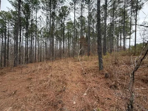 1 Bartlett Rd # B, Reagan, TN 38368