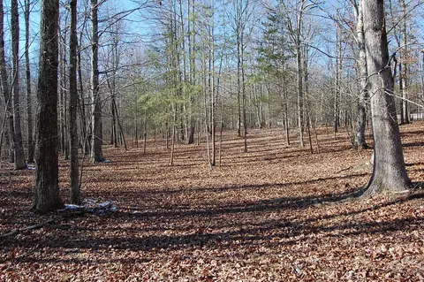 340 Bluff View Dr, Dunlap, TN 37327 photo 9