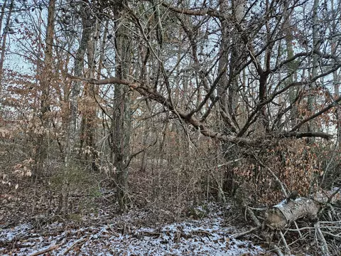 0 Pollard Cemetery Rd, Walling, TN 38587 photo 5
