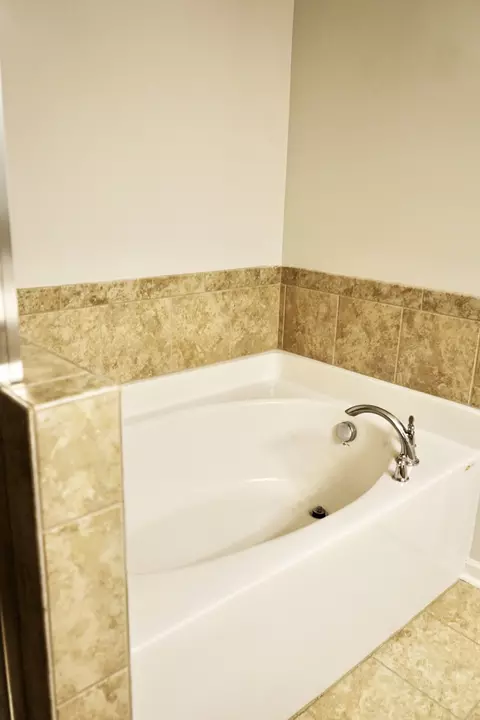 Bath - 4221 Grapevine Loop, Smyrna, TN 37167 photo 3 of 5