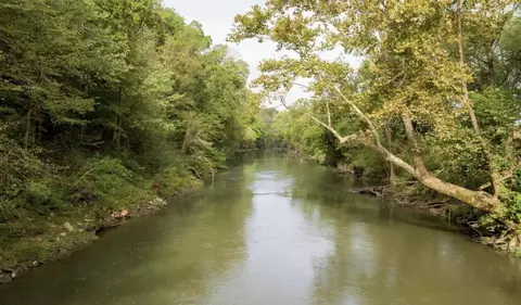 12 Sturgeon Creek Rd, Cedar Hill, TN 37032