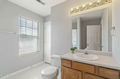 337 Nicely Tr, Powell, TN 37849 photo 31