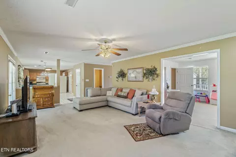 337 Nicely Tr, Powell, TN 37849 photo 10