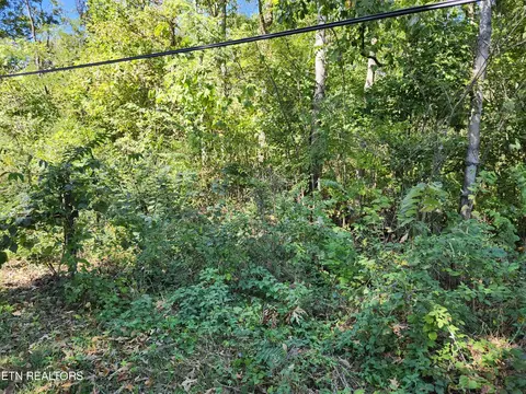 7 Sunset Dr, Talbott, TN 37877 photo 3