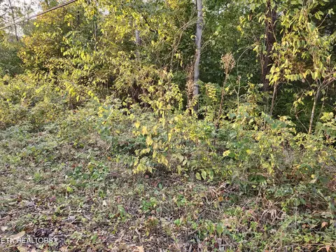 7 Sunset Dr, Talbott, TN 37877 photo 7