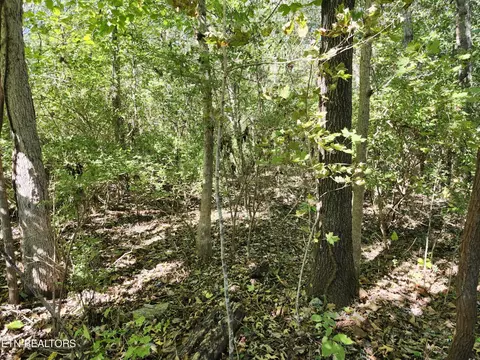 7 Sunset Dr, Talbott, TN 37877 photo 4