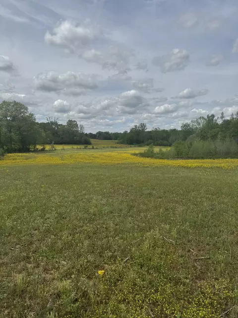 0 Taylor Cemetery Rd, Buena Vista, TN 38318
