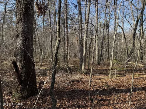0 Cowpens Dr, Monterey, TN 38574