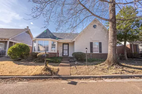 1667 Barbie St, Cordova, TN 38016
