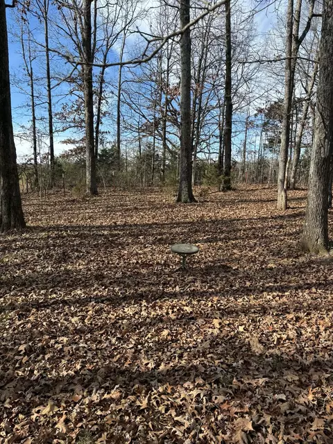 2403 Sylvia Rd, Dickson, TN 37055 photo 8
