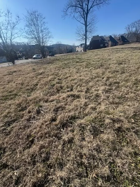 0 Bonifay Dr, Smyrna, TN 37167