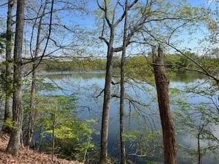 0 Canary Ln, Estill Springs, TN 37330