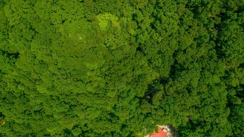 0 Highway 134, Guild, TN 37340 photo 56