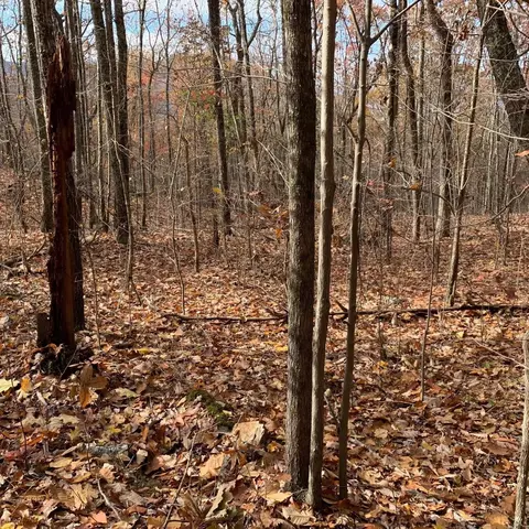 0 Highway 134, Guild, TN 37340 photo 65