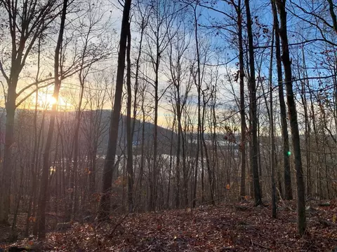 0 Highway 134, Guild, TN 37340 photo 4