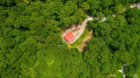 0 Highway 134, Guild, TN 37340 photo 50