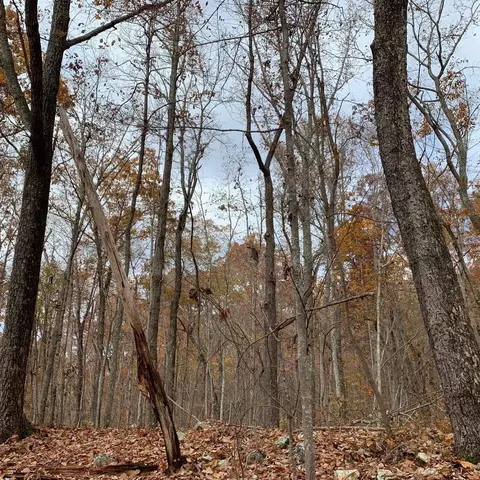 0 Highway 134, Guild, TN 37340 photo 63
