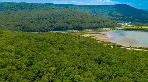 0 Highway 134, Guild, TN 37340 photo 19