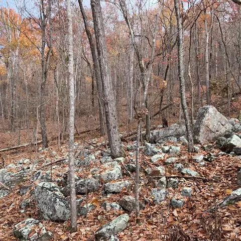 0 Highway 134, Guild, TN 37340 photo 64