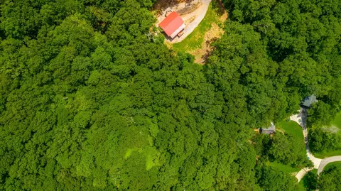 0 Highway 134, Guild, TN 37340 photo 49