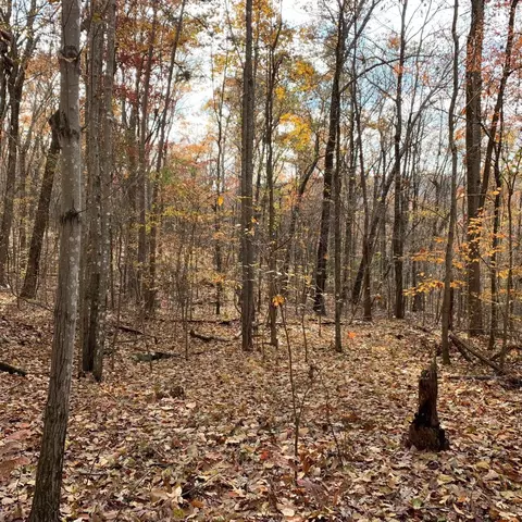 0 Highway 134, Guild, TN 37340 photo 68