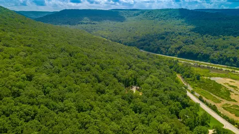 0 Highway 134, Guild, TN 37340 photo 36