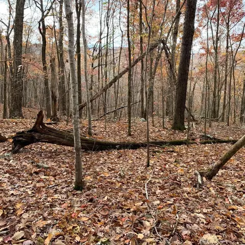 0 Highway 134, Guild, TN 37340 photo 62