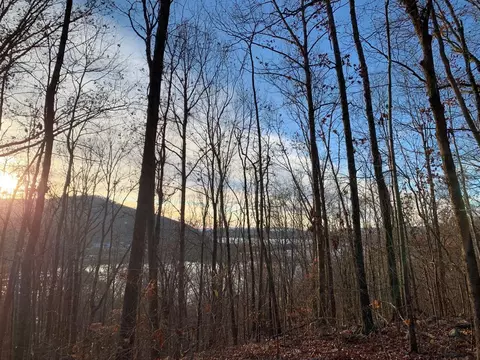0 Highway 134, Guild, TN 37340 photo 5