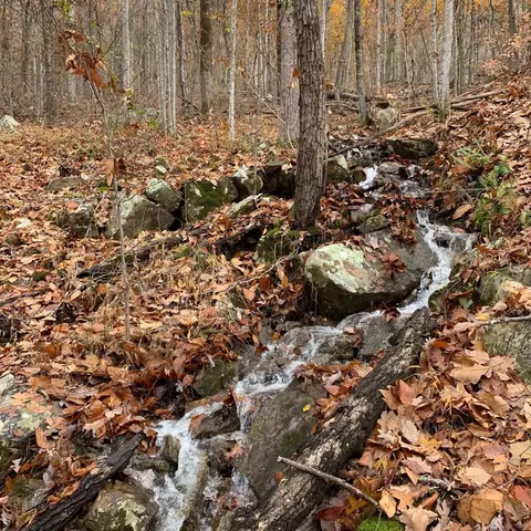 0 Highway 134, Guild, TN 37340 photo 6