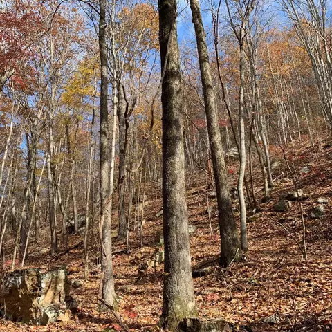 0 Highway 134, Guild, TN 37340 photo 67